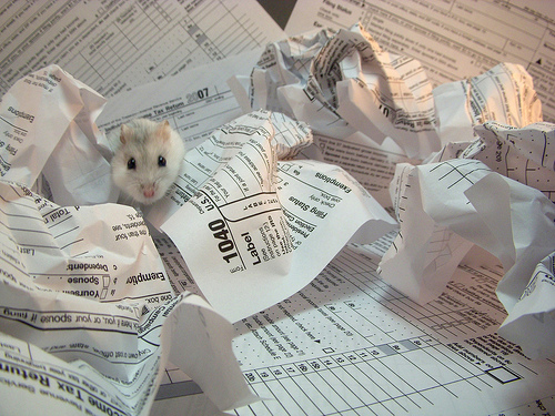 Image of tax forms